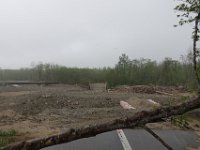 img (80)